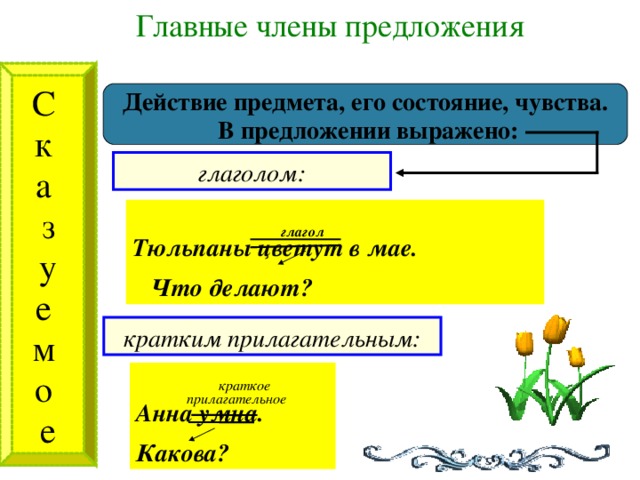 Главные члены предложения С к а з  у е м о е Действие предмета, его состояние, чувства.  В предложении выражено: глаголом:  глагол  Тюльпаны цветут в мае.   Что делают? кратким прилагательным:   краткое  прилагательное Анна умна.  Какова? 9